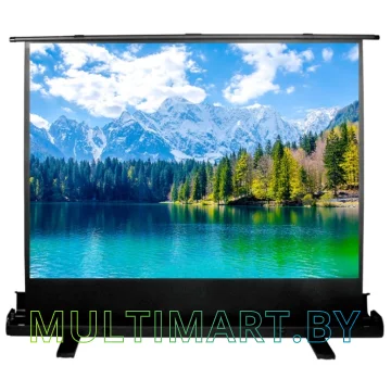 Проекционный экран CACTUS FloorExpert 90x160 (CS-PSFLE-160X90)